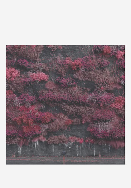 Sleep Token-Even In Arcadia 2LP | Newbury Comics