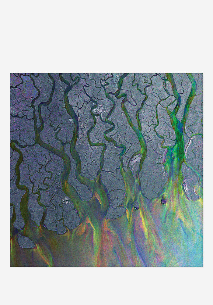 ALT-J An Awesome Wave LP