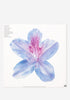 FIDDLEHEAD Between The Richness Exclusive LP (Swirl)