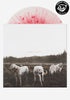 FOXING The Albatross Exclusive LP (Splatter)