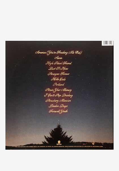 【レアUSオリジナル盤】Mohinder – Everything LP Cyndi Lauper – Money Changes Everything – Vinyl (12