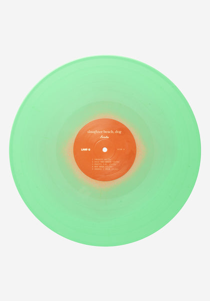 Slaughter Beach, Dog-Birdie Exclusive LP Color Vinyl | Newbury Comics