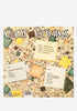 THE FEELIES Crazy Rhythms Exclusive LP