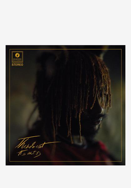 Thundercat-It Is What It Is LP (Red) | Newbury Comics