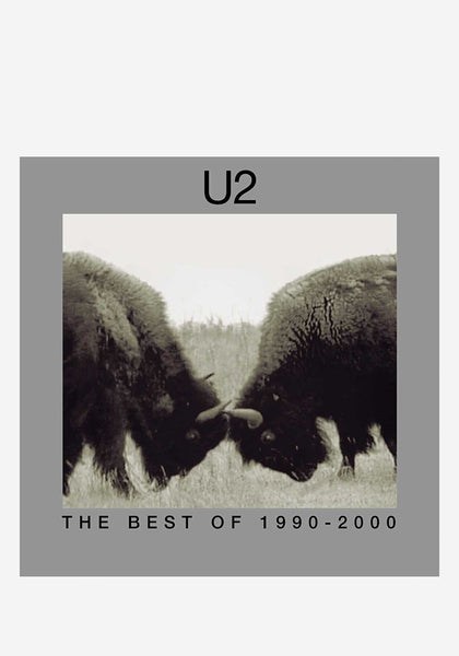 U2-The Best Of U2 1990-2000 2 LP Vinyl