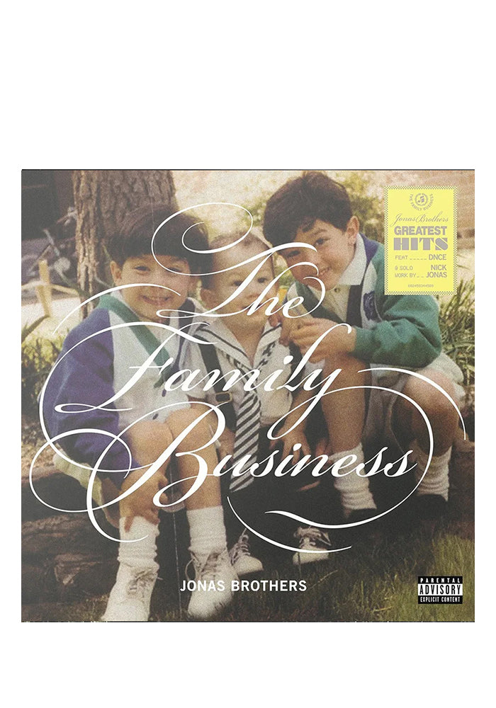JONAS BROTHERS The Family Business 2LP (Color)
