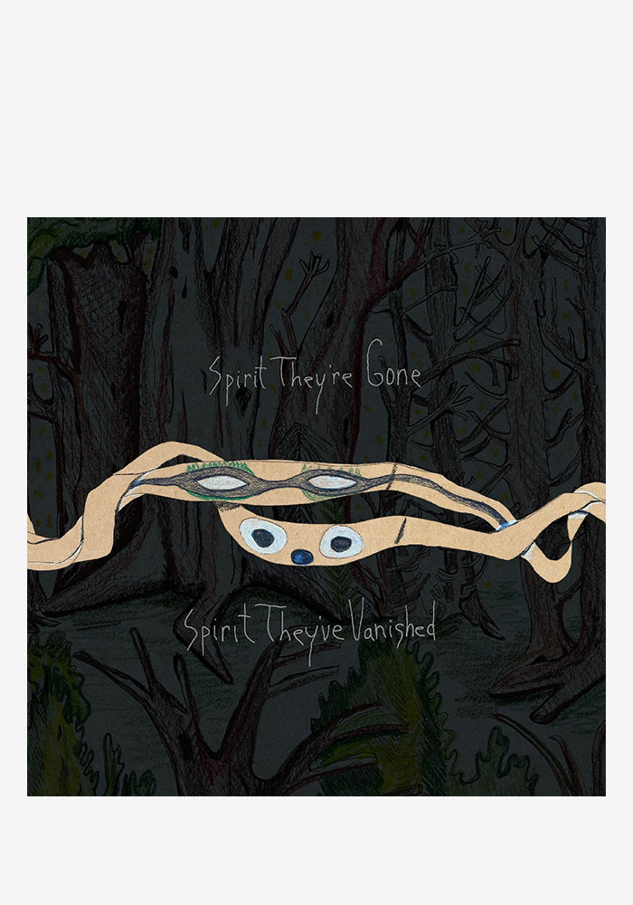 ワールドワイド2LP Animal Collective Spirit Theyre Gone Spirit Theyve Vanished REWIGLP175 Domino /00520 Animal Collective-Spirit They're Gone, Spirit They've