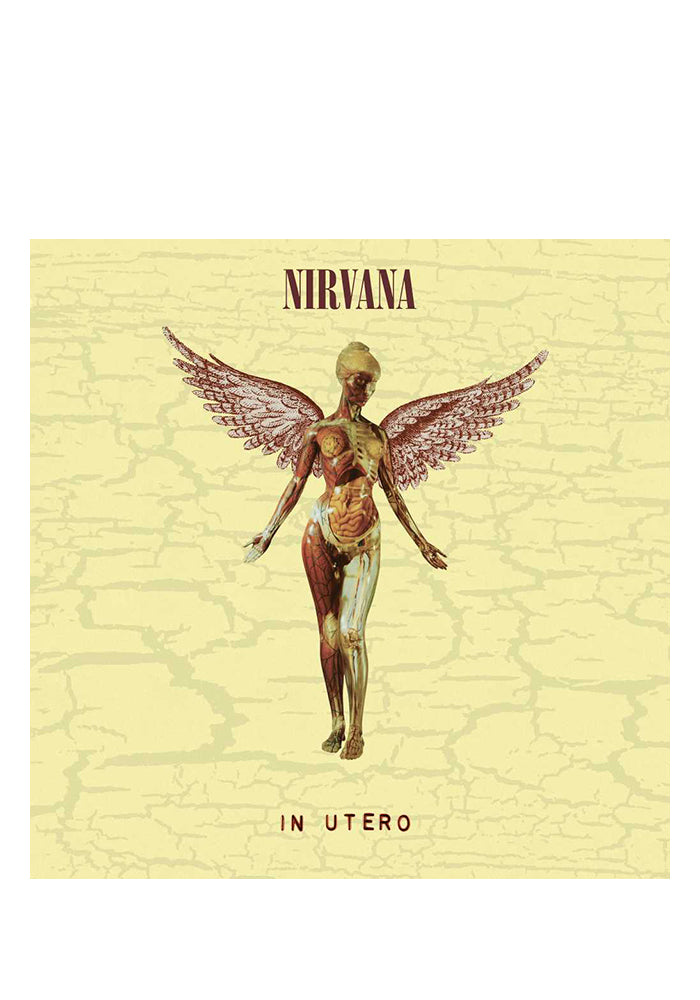 NIRVANA In Utero 30th Anniversary LP+10"