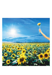 Stone-Temple-Pilots-Thank-You-