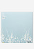 THE SHINS Oh, Inverted World Exclusive LP (Light Blue)