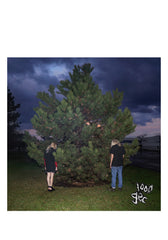 100 gecs LPセット 100-gecs-1000-gecs-Vinyl-LP-