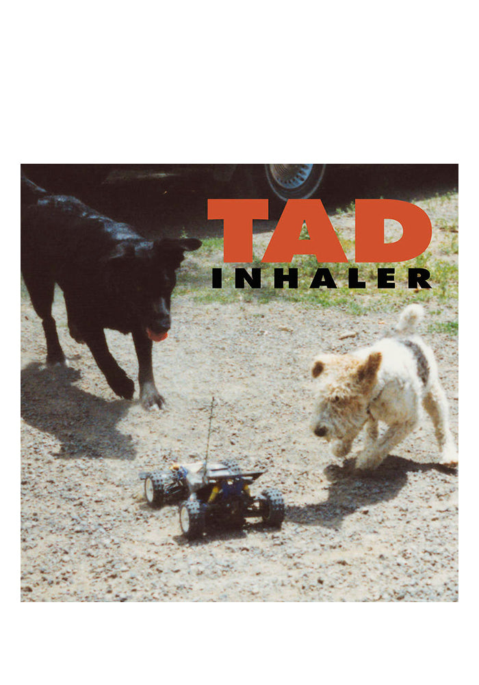 TAD Inhaler LP (Color)