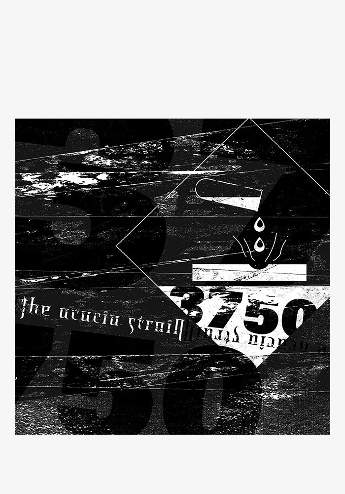 ACACIA STRAIN 3750 LP (Gold)