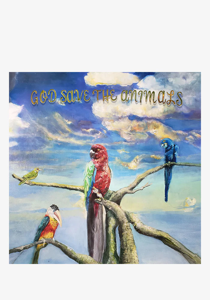 ALEX G God Save The Animals LP