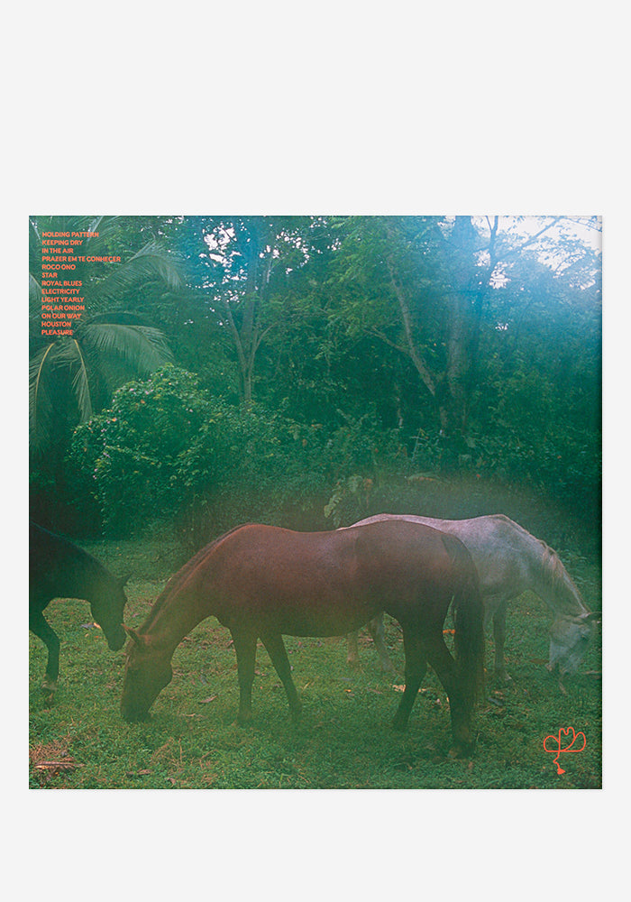 ALLAH-LAS LAHS Exclusive LP