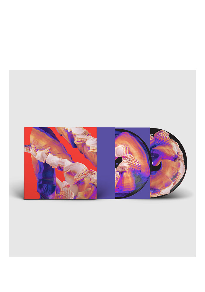 BICEP Isles 2LP (Picture Disc) With Autographed Poster