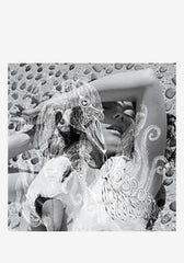 Bjork-Vespertine 2LP | Newbury Comics
