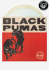 BLACK PUMAS Black Pumas Deluxe Edition Exclusive 2LP+7" (All My Favorite Colors)