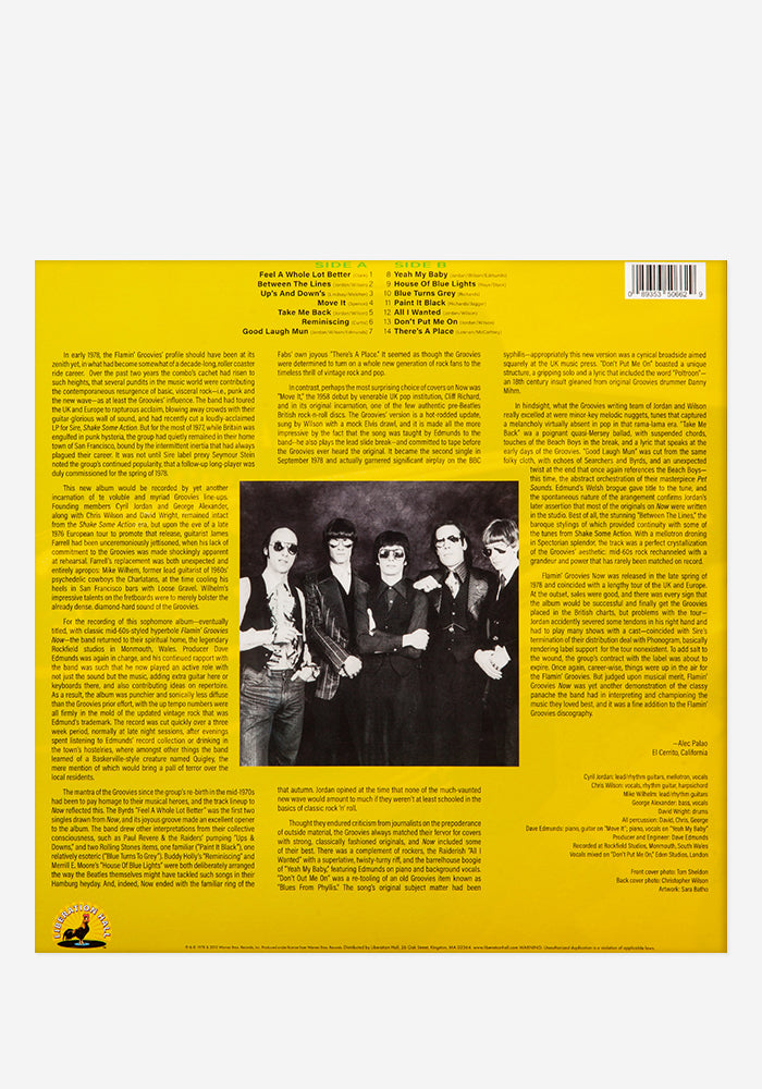 FLAMIN' GROOVIES Now Exclusive LP