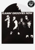 FLAMIN' GROOVIES Now Exclusive LP