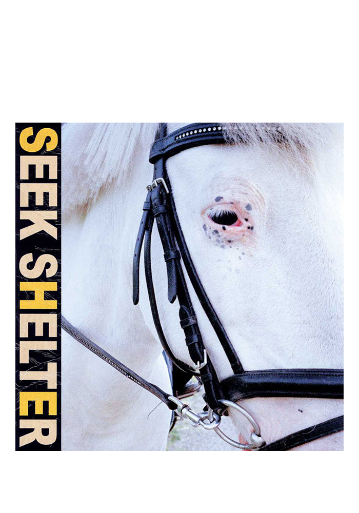 ICEAGE Seek Shelter LP (Color)