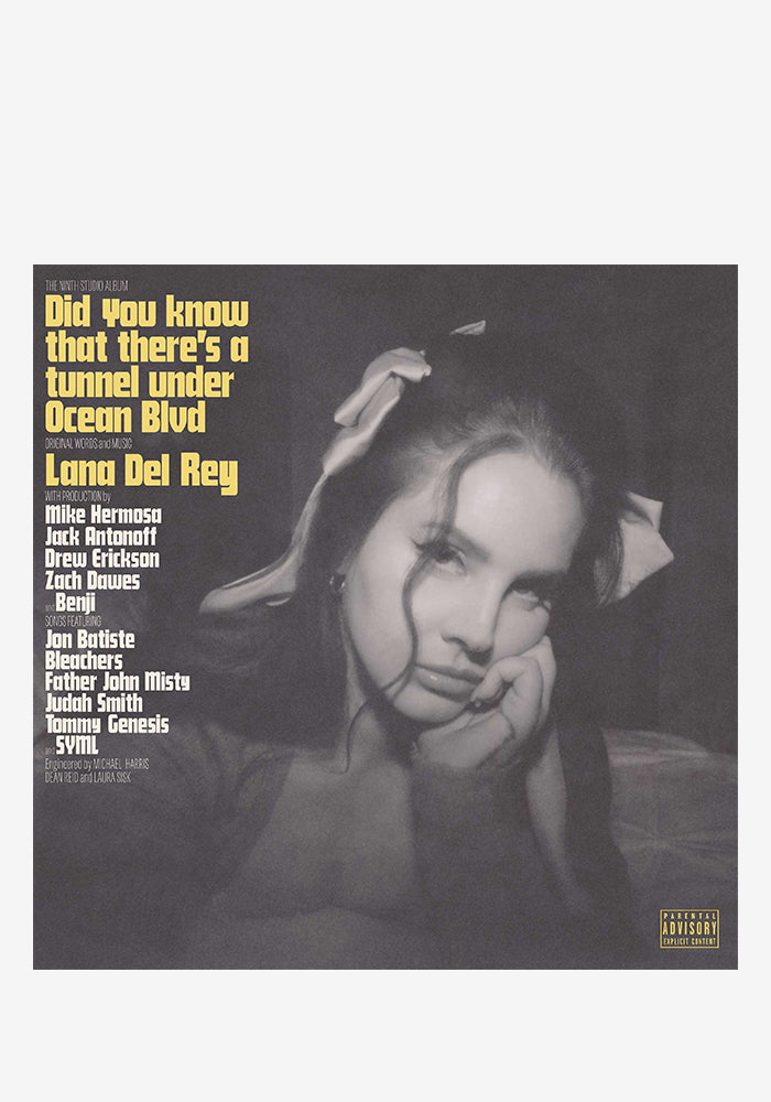 Lana Del Rey - Did You Know That There's A Tunnel Vinyl Alternate Cover  Explicit