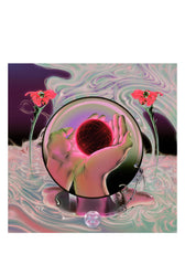 Magdalena-Bay-Mercurial-World-