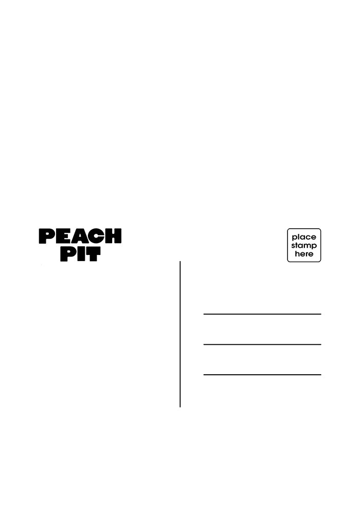PEACH PIT From 2 To 3 LP With Autographed Postcard