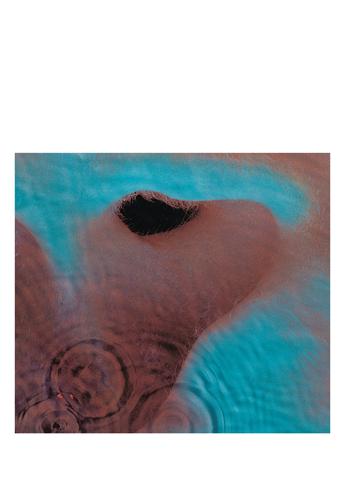 PINK FLOYD Meddle LP