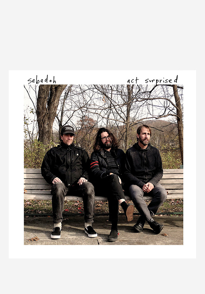 SEBADOH Act Surprised LP (Color)