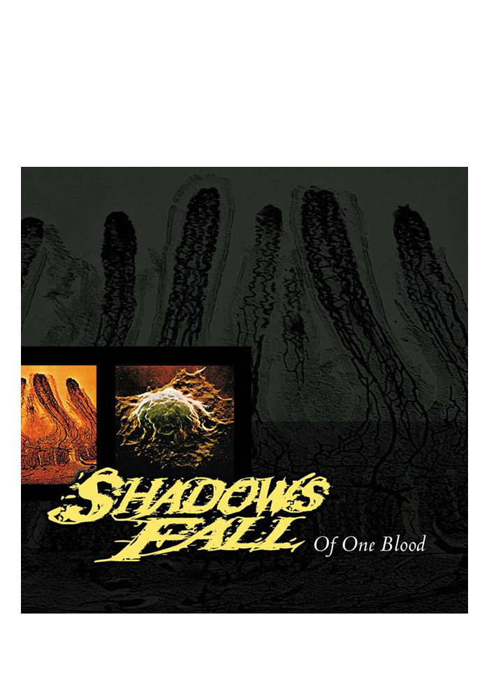 SHADOWS FALL Of One Blood 20th Anniversary LP (Color)