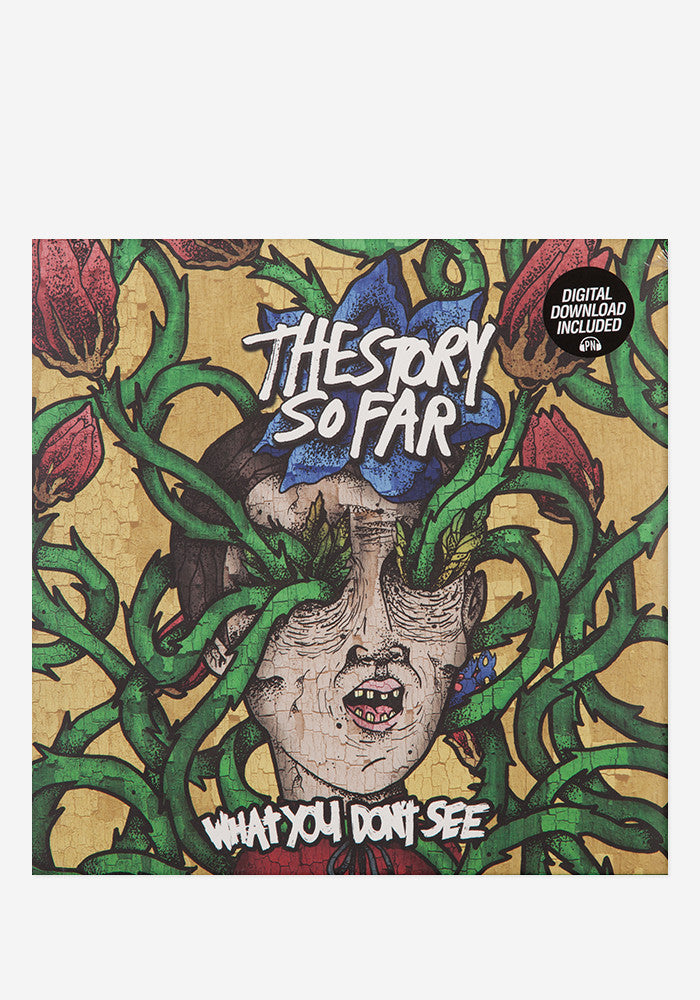 THE STORY SO FAR What You Don't See LP