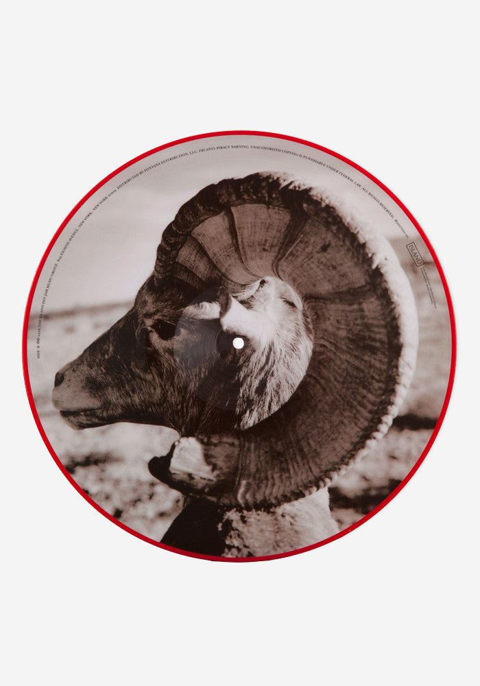 THE KILLERS Sam's Town  LP Picture Disc