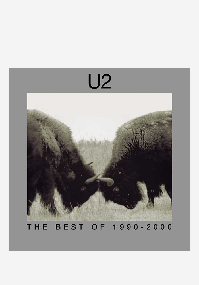 The Best Of U2 1990-2000 2 LP