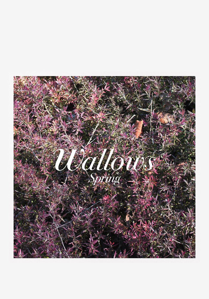 WALLOWS Spring 2x 12" Single (Color)